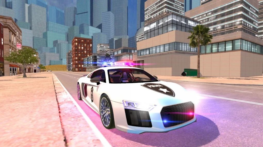R8 Police Car Driving(R8警察模拟器手机汉化版)截图3
