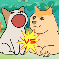 波波猫VS柴犬 (Pogo Puppy)